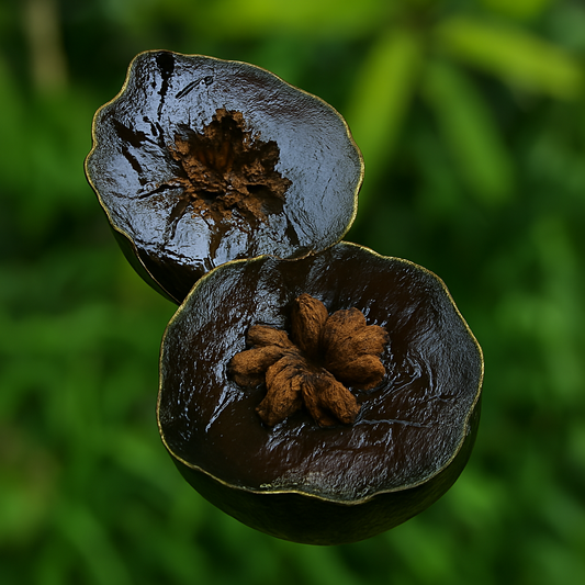 Black Sapote