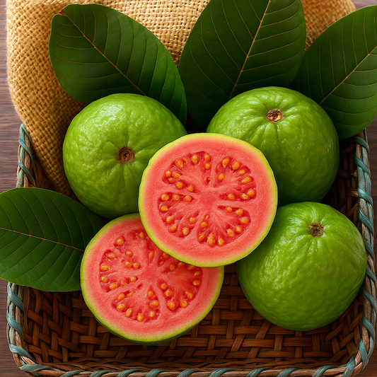 Ruby Supreme Guava