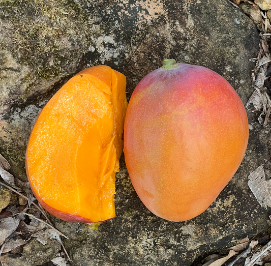 Super Julie Mango